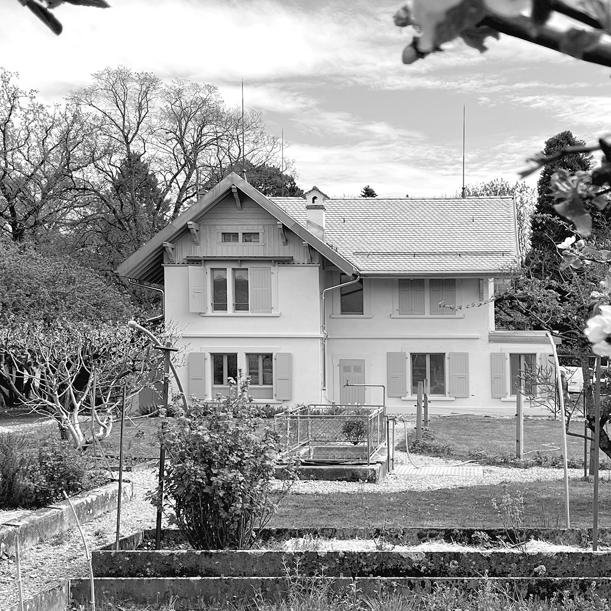 rénovation villa