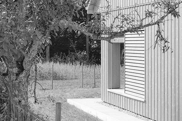 TRV_EXT_rc villa bois